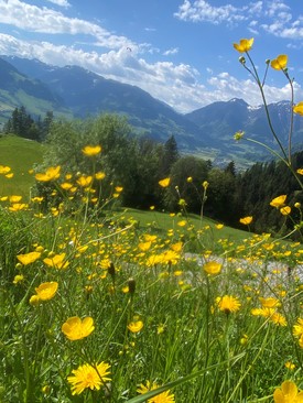 foto-aussicht.jpg
